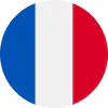 Bandiera di Francia